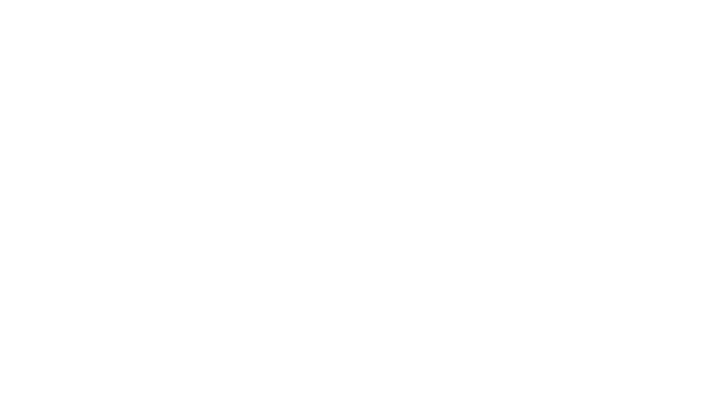 Partner Logo Governance